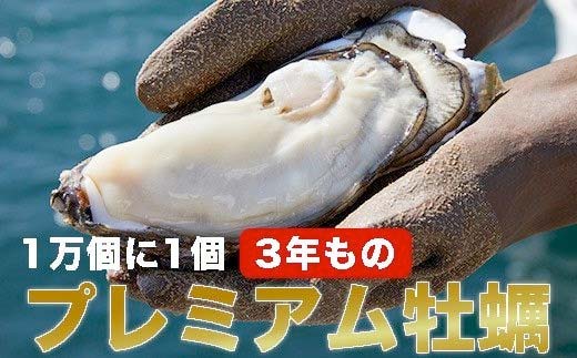 マルテン水産の〈プレミアム牡蠣〉殻付き